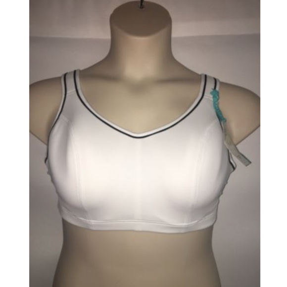 lane bryant livi active sports bra